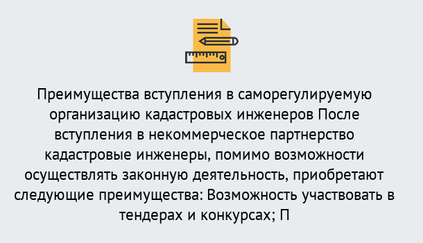 Почему нужно обратиться к нам? Североморск Что дает допуск СРО кадастровых инженеров?