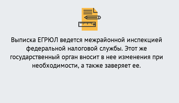 Почему нужно обратиться к нам? Североморск Выписка ЕГРЮЛ в Североморск ?