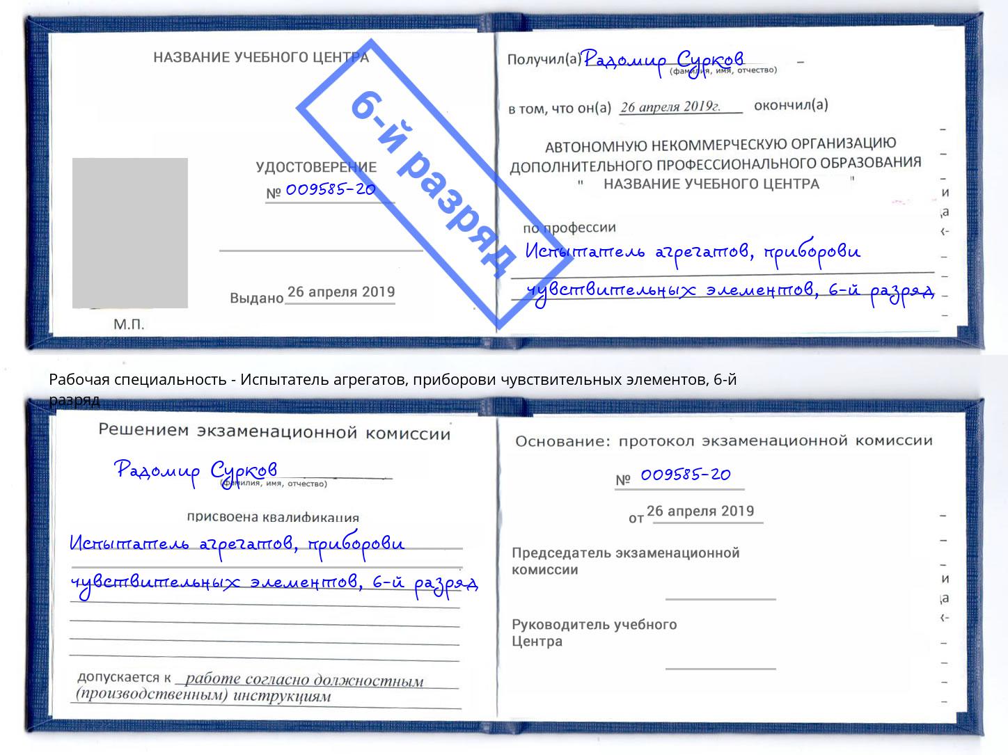 корочка 6-й разряд Испытатель агрегатов, приборови чувствительных элементов Североморск