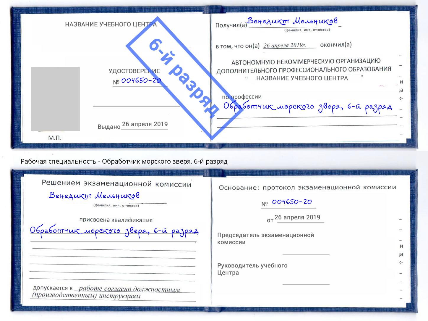 корочка 6-й разряд Обработчик морского зверя Североморск
