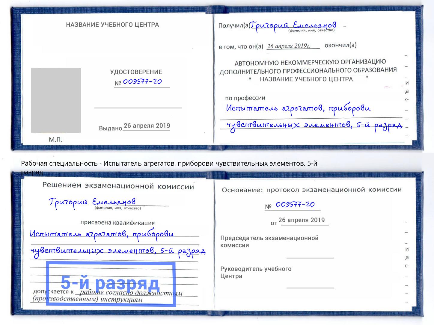 корочка 5-й разряд Испытатель агрегатов, приборови чувствительных элементов Североморск