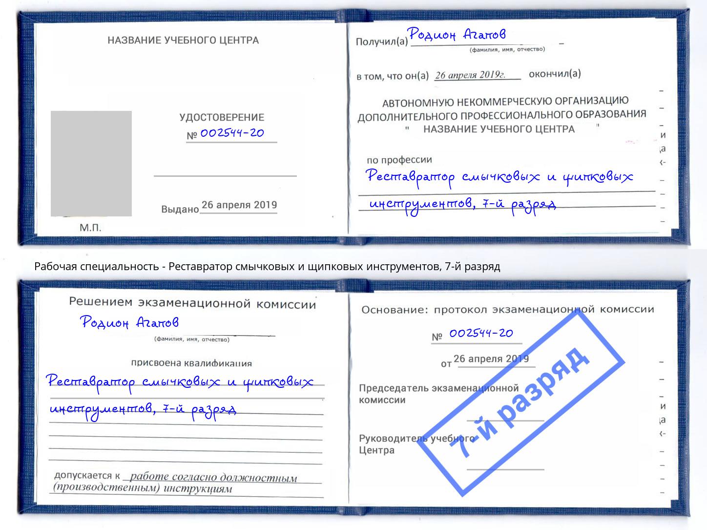 корочка 7-й разряд Реставратор смычковых и щипковых инструментов Североморск