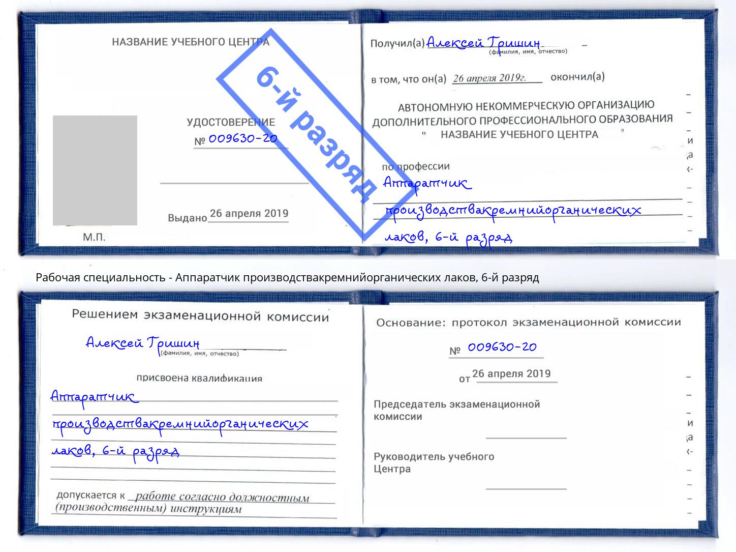 корочка 6-й разряд Аппаратчик производствакремнийорганических лаков Североморск