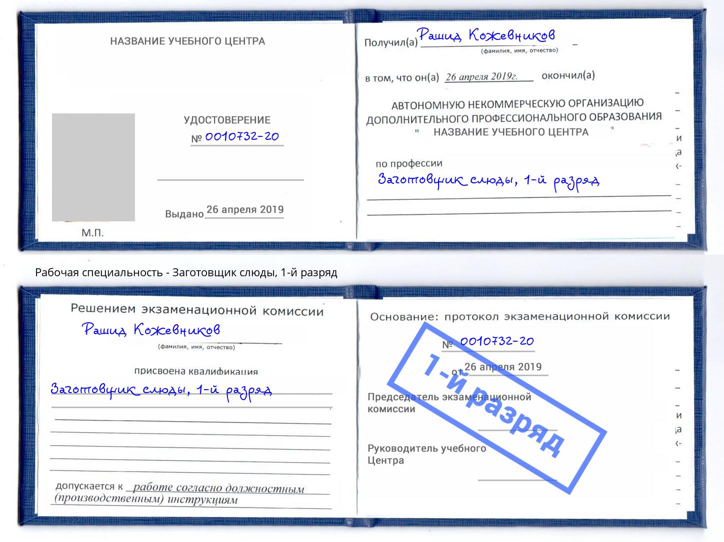 корочка 1-й разряд Заготовщик слюды Североморск